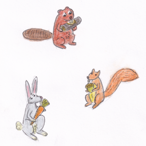 lapin, écureuil, et castor (Dec 17, 2023)